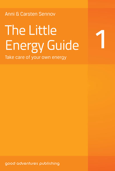 The Little Energy Guide 1